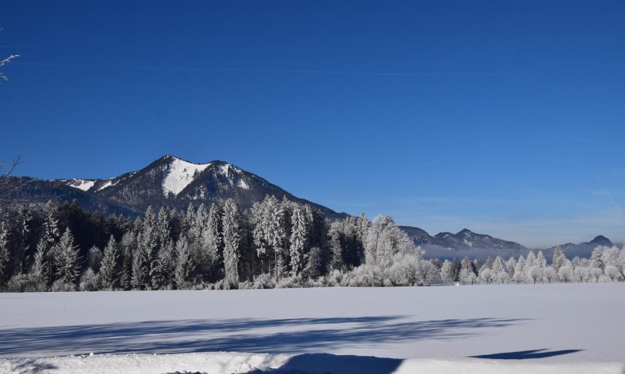 Loitzbauer * Sankt Gilgen