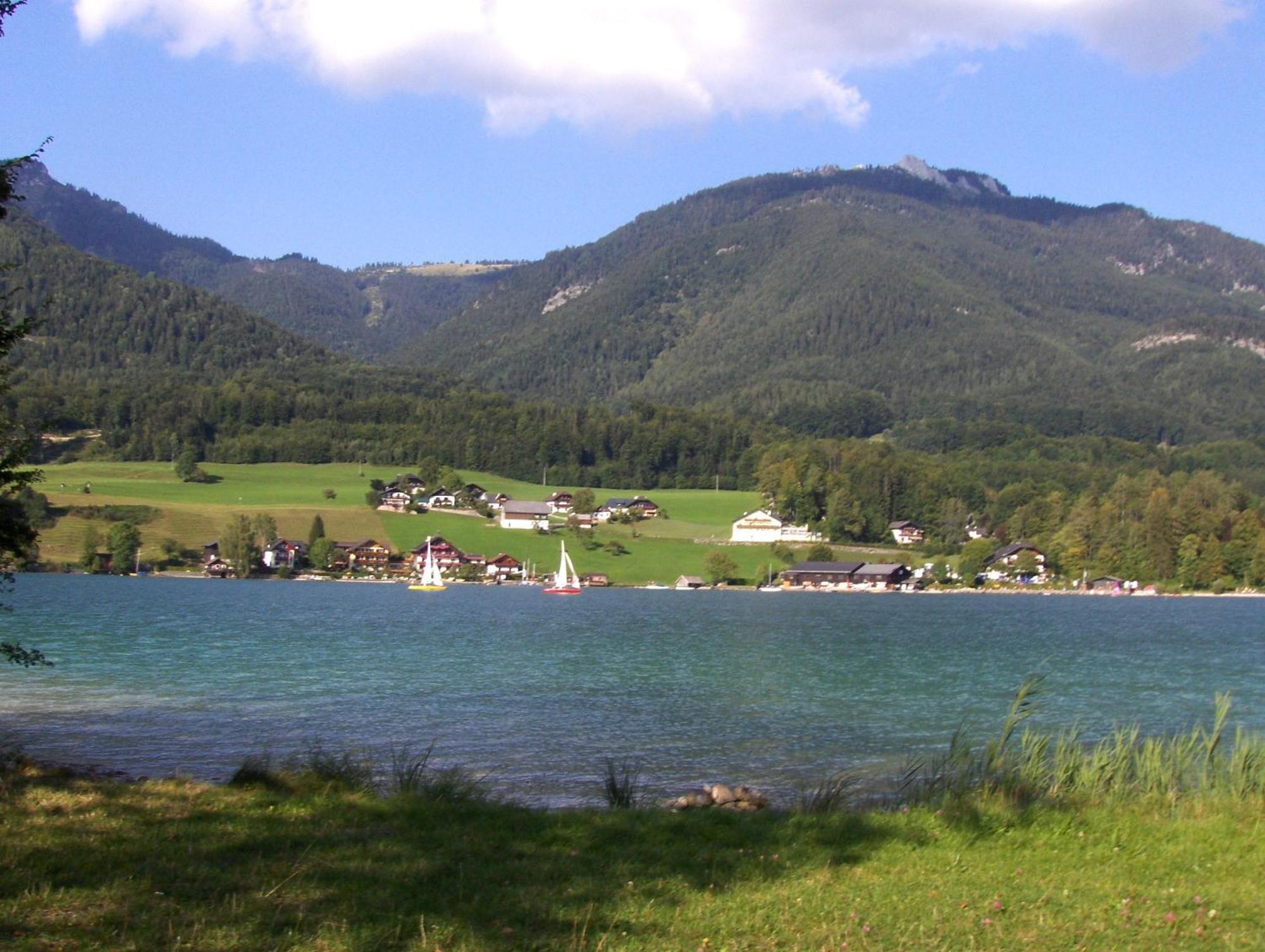 Loitzbauer