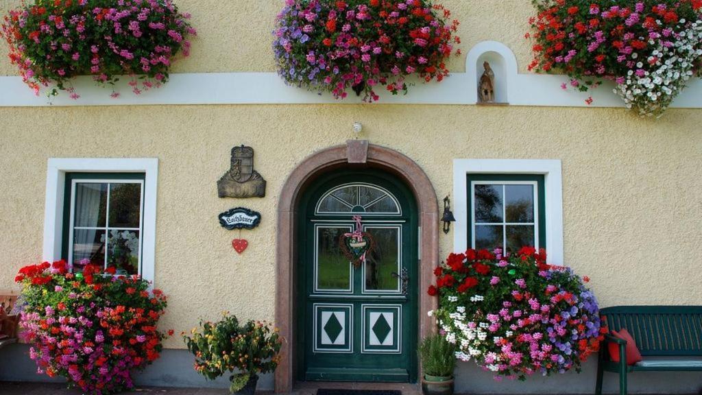 Loitzbauer Apartment Sankt Gilgen